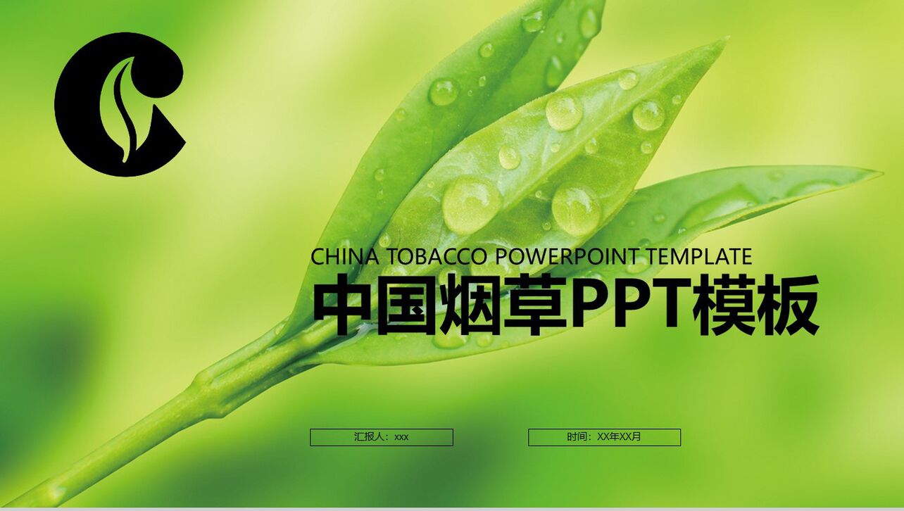 中国烟草年度工作概述PPT模板