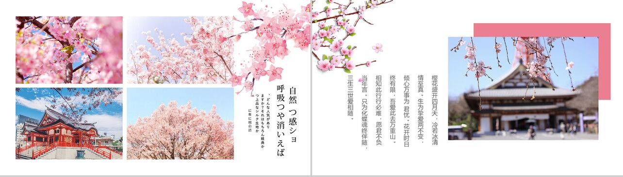 与最爱的人一起享受浪漫美丽樱花活动策划PPT模板