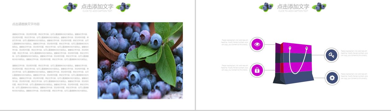 水果蓝莓产品宣传工作汇报PPT模板