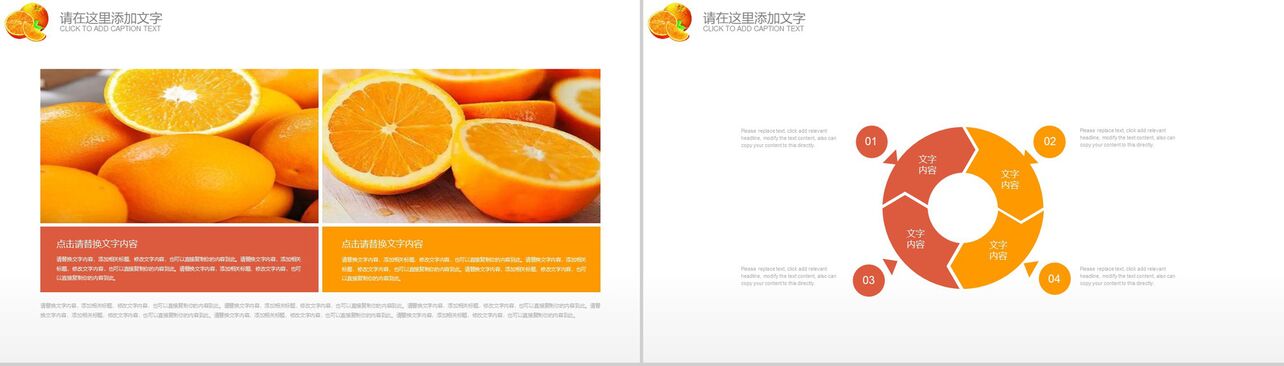 水果柑橘产品介绍工作汇报PPT模板