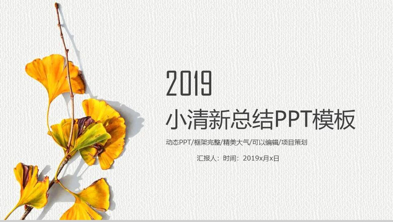 2019小清新总结工作报告PPT模板