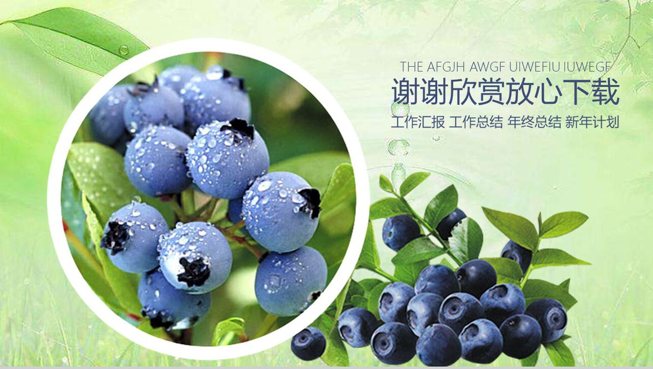 水果蓝莓产品宣传工作汇报PPT模板