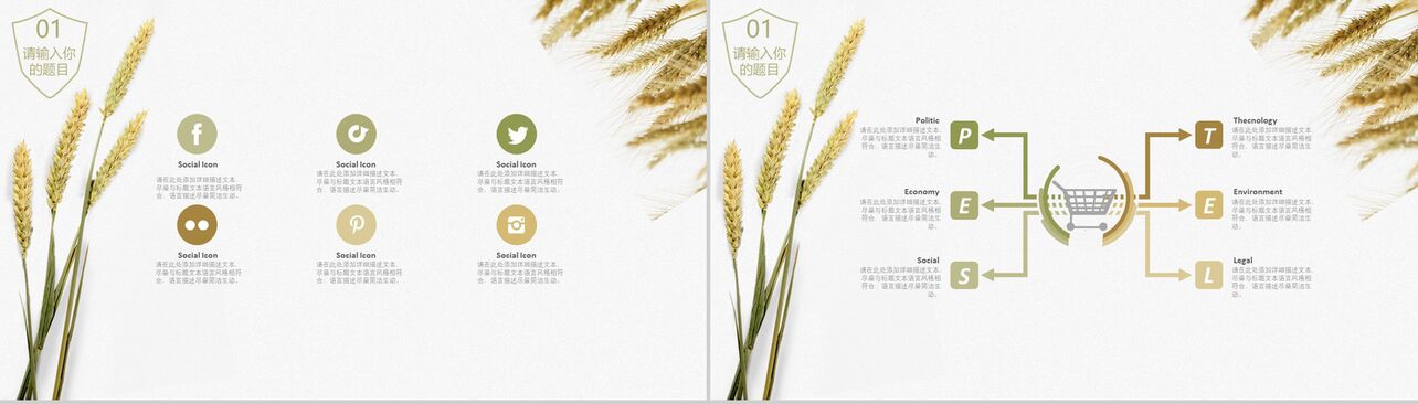 小清新小麦食品安全宣传工作报告PPT模板