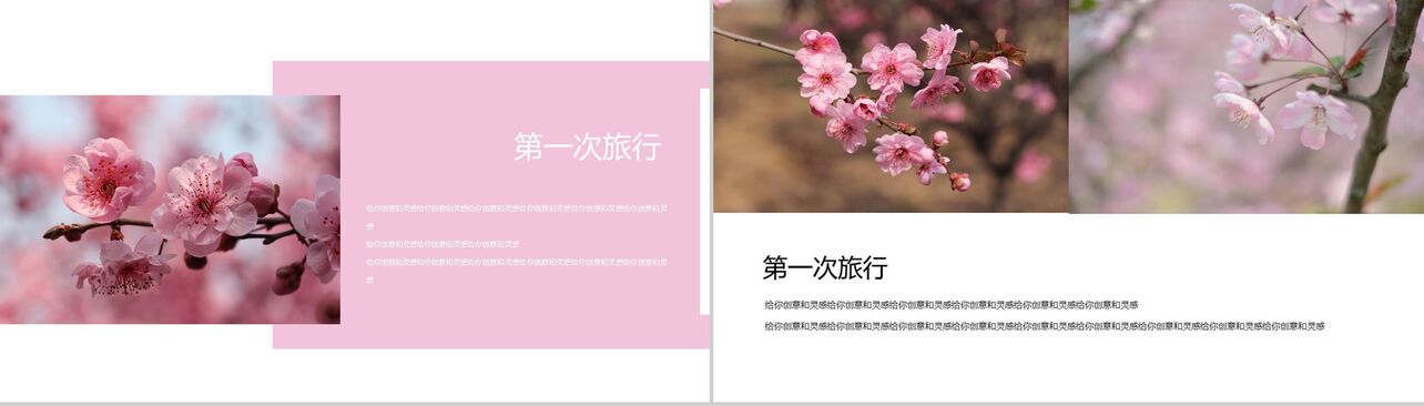 樱花节大型活动策划方案PPT模板
