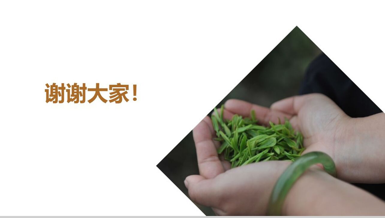 茶艺茶文化产品宣传PPT模板