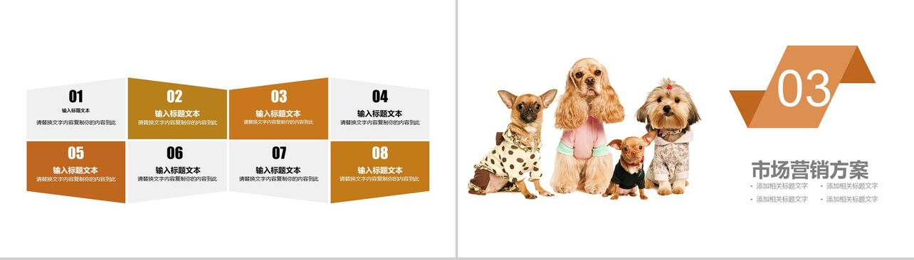 宠物行业营销报告工作计划PPT模板