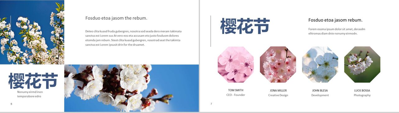 遇见樱花樱花节旅游相册樱花节PPT模板