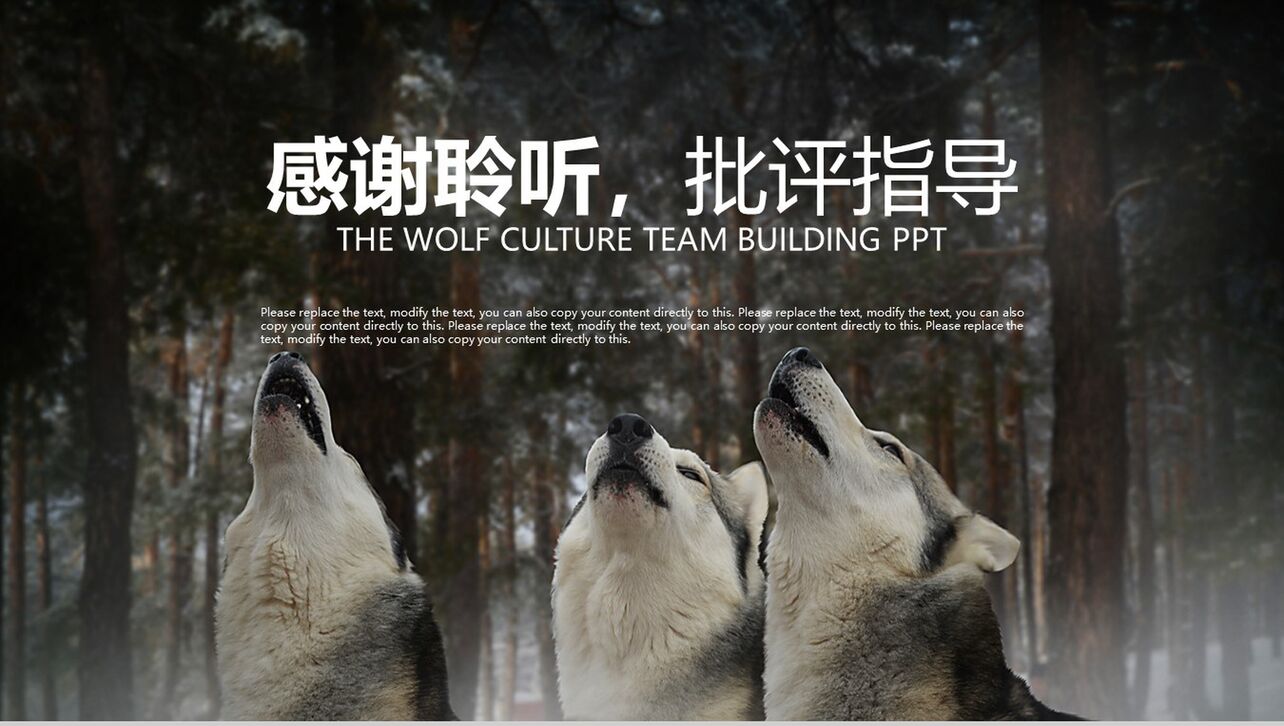 动态简约狼文化团队建设团队精神PPT模板