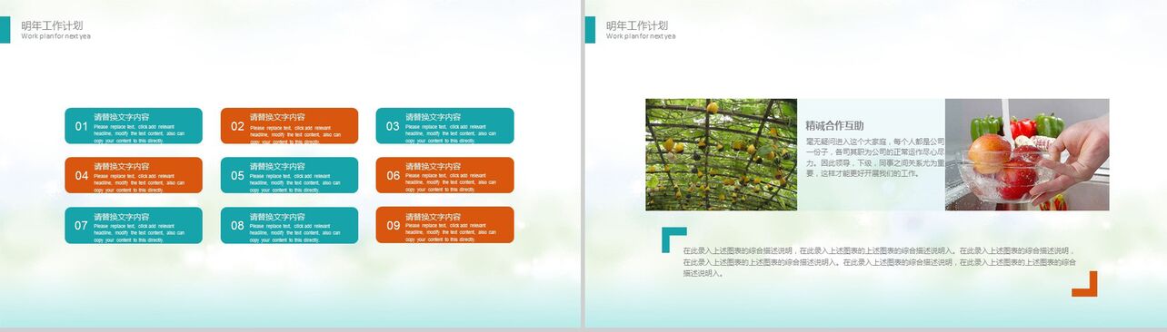 清新绿色有机果蔬产品宣传介绍工作总结PPT模板