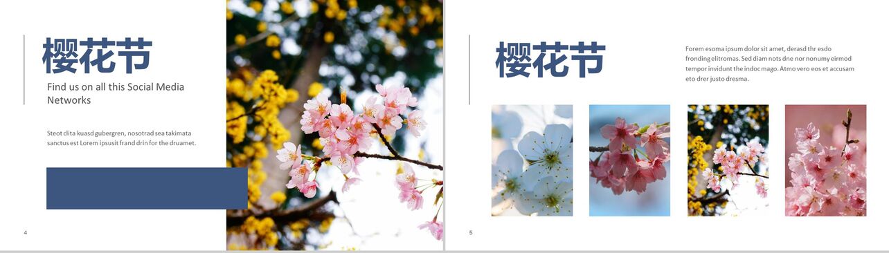 遇见樱花樱花节旅游相册樱花节PPT模板