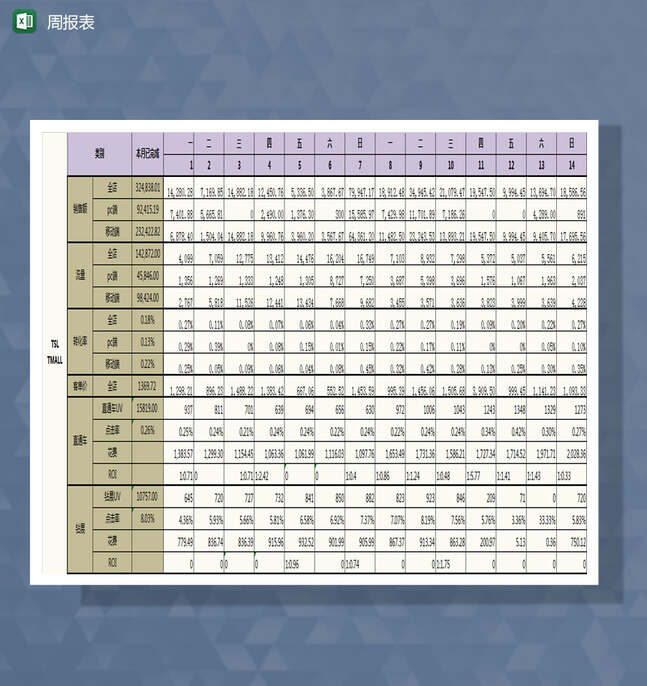 tsl项目周报表Excel表格制作模板