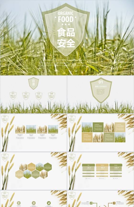 小清新小麦食品安全宣传工作报告PPT模板16素材网精选