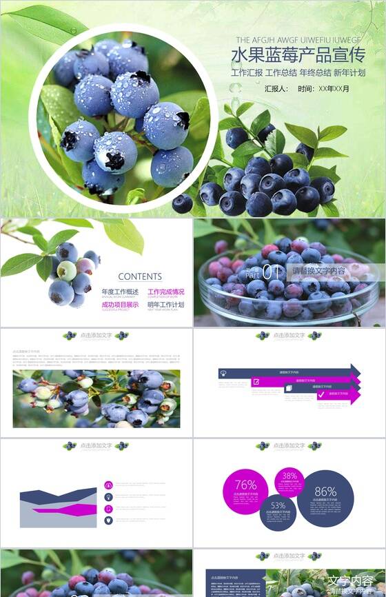 水果蓝莓产品宣传工作汇报PPT模板素材天下网精选