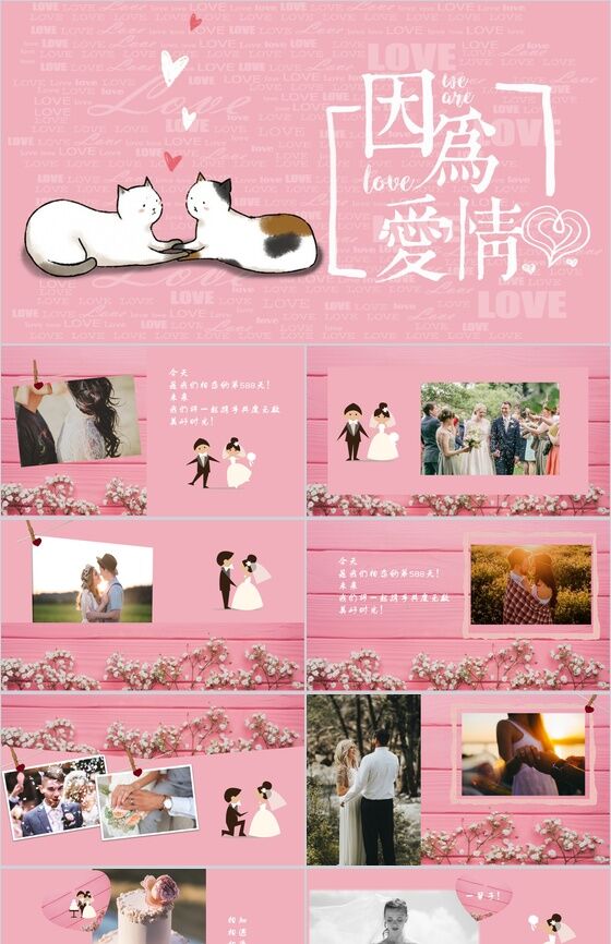 粉色卡通猫咪爱情婚礼婚庆相册PPT模板16设计网精选