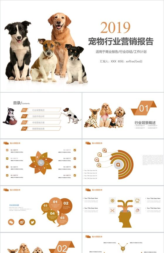 宠物行业营销报告工作计划PPT模板普贤居素材网精选