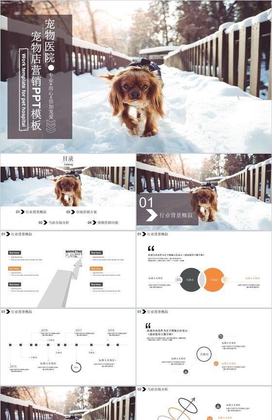 精致宠物店营销品牌推广PPT模板16设计网精选