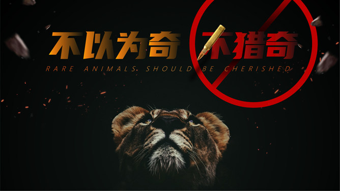 野生动物保护教育素材中国网免费PPT模板