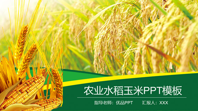 水稻玉米农业农产品素材天下网免费PPT模板
