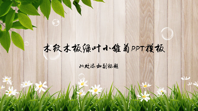 木纹木板绿叶小雏菊素材中国网免费PPT模板