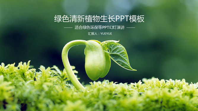 幼苗发芽绿色植物素材中国网免费PPT模板
