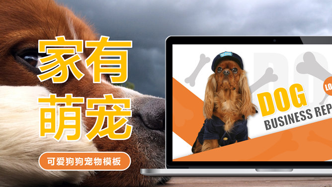 宠物狗品种介绍饲养素材中国网免费PPT模板