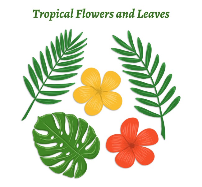 5款创意热带花卉和叶子矢量图16素材网精选