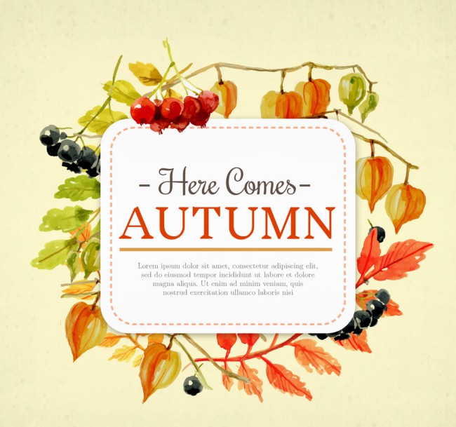 秋季叶子和浆果框架矢量素材16图库网精选
