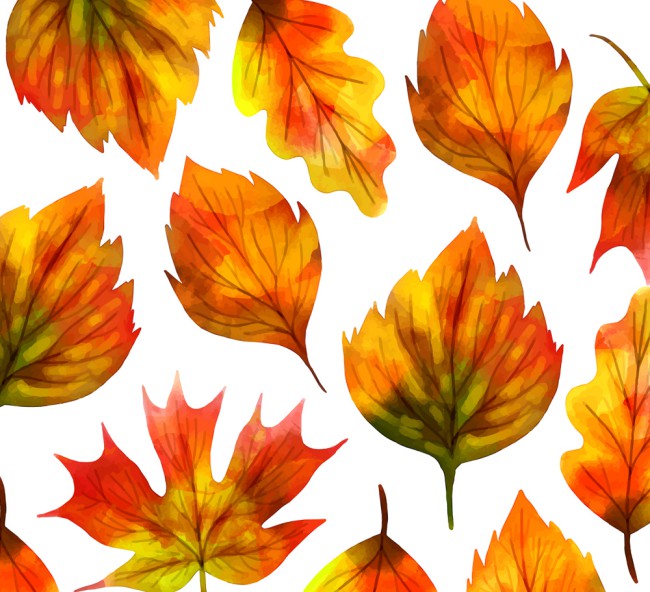 美丽秋季树叶无缝背景矢量素材16图库网精选
