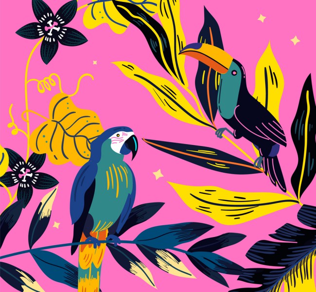 彩绘热带鹦鹉和大嘴鸟矢量图16素材网精选