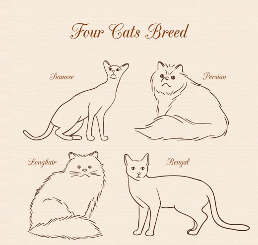 4款手绘线条宠物猫咪矢量素材普贤居素材网精选