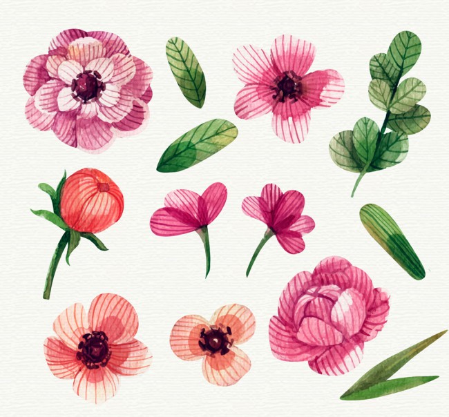 13款彩色手绘花卉和叶子矢量图16图库网精选