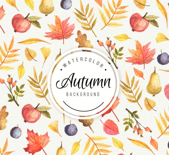 彩绘秋季叶子和水果背景矢量素材16素材网精选