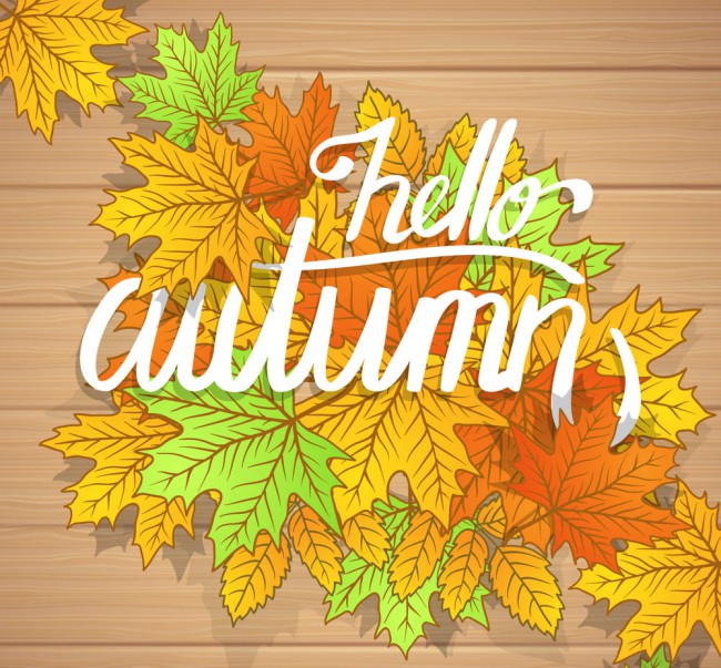 彩绘秋季树叶堆艺术字矢量素材16素材网精选