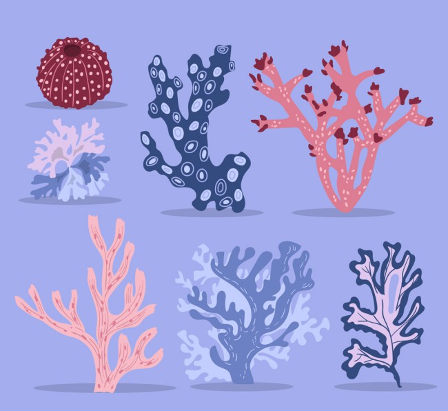 7款创意珊瑚设计矢量素材普贤居素材网精选