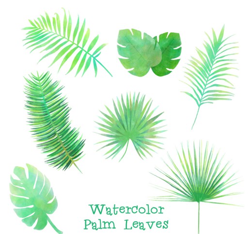 7款水彩绿色热带植物叶子矢量素材