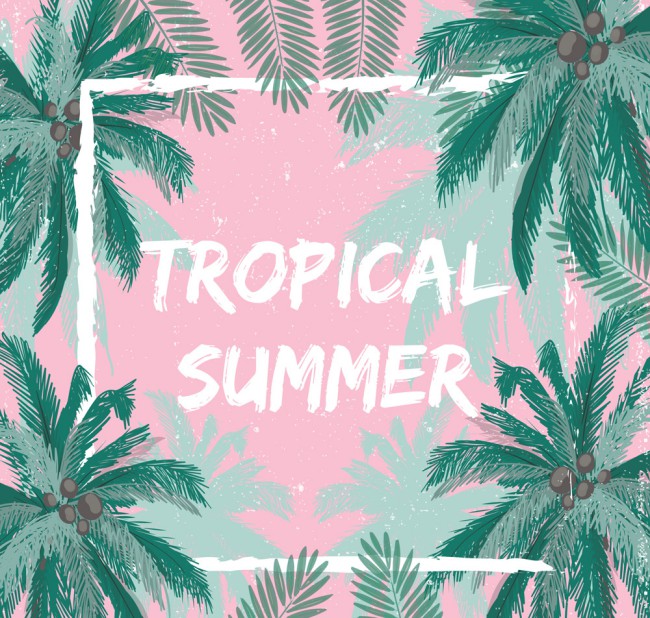 创意夏季热带棕榈树框架矢量图普贤居素材网精选