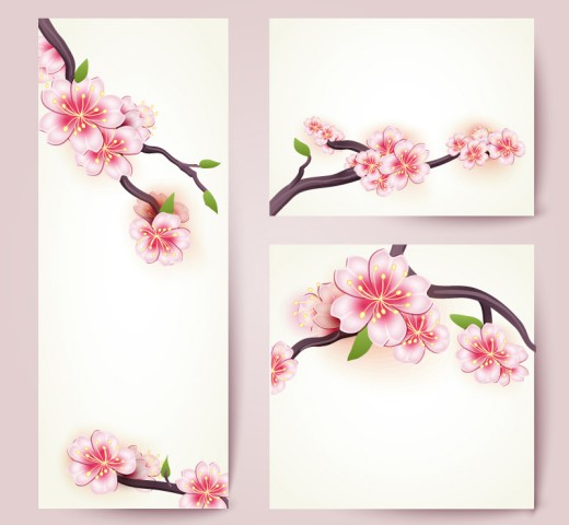 3款樱花花枝卡片矢量素材素材中国网精选