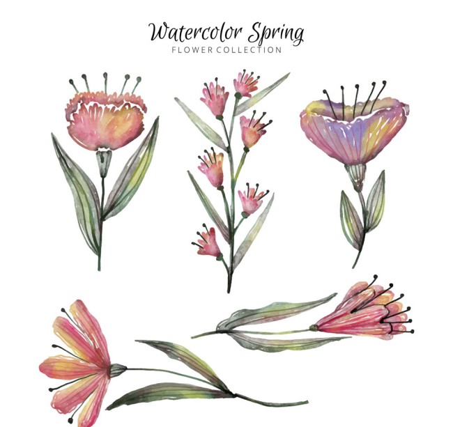 5款水彩绘春季花卉矢量素材16图库网精选