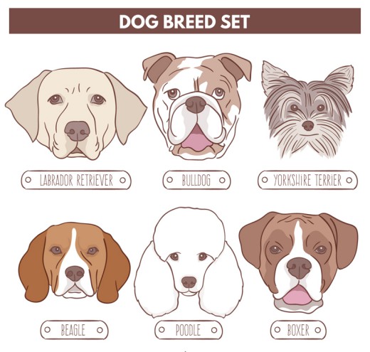 6种创意宠物狗头像矢量素材16图库网精选