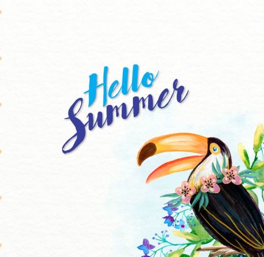 彩绘夏季犀鸟和花卉矢量素材素材天下精选