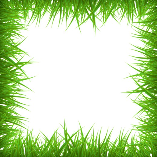 创意绿草空白框架背景矢量素材素材