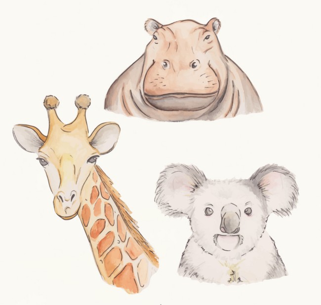 3款彩绘野生动物头像矢量素材16图库网精选