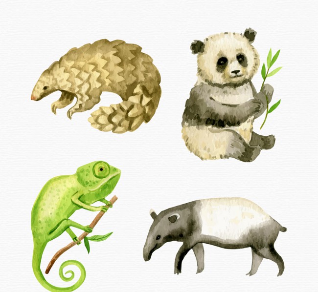 4款水彩绘野生动物矢量素材16图库网精选