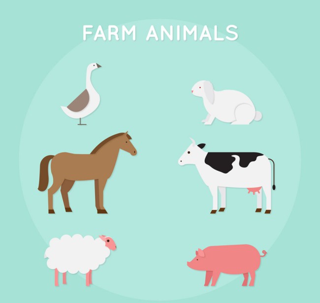 6款创意农场动物矢量素材16素材网精选