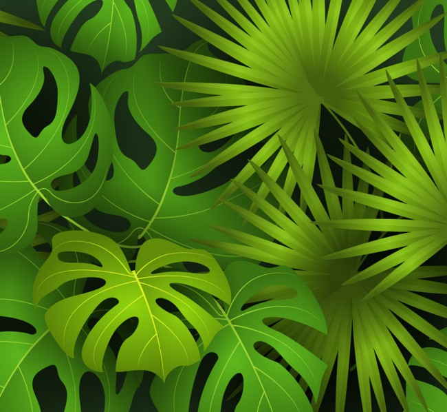 逼真绿色热带叶子矢量素材16素材网精选