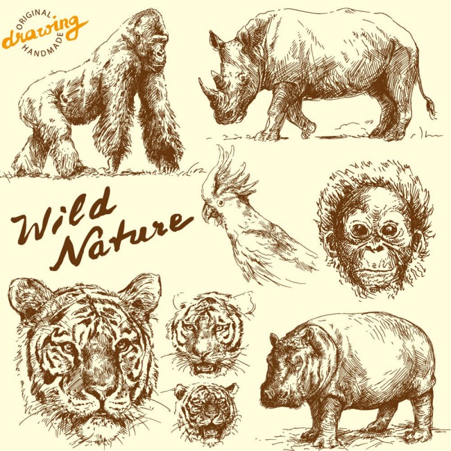 8款手绘野生动物设计矢量素材16图库网精选