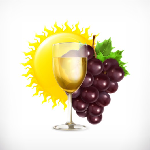 葡萄与葡萄酒设计矢量素材16图库网精选