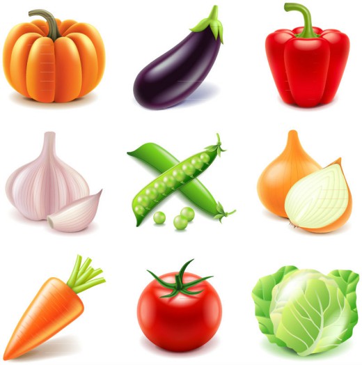 9款新鲜蔬菜设计矢量素材素材中国网精选