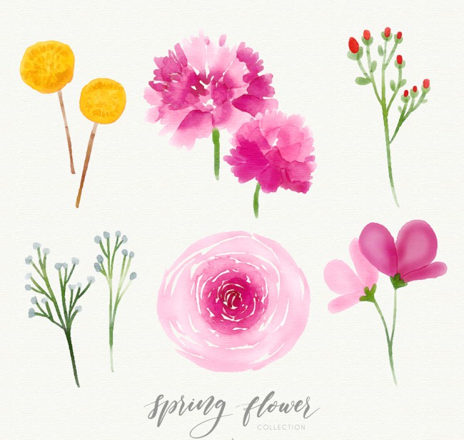 6款水彩绘春季花卉矢量素材普贤居素材网精选