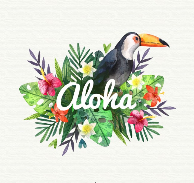 创意夏威夷大嘴鸟和花卉矢量图16设计网精选